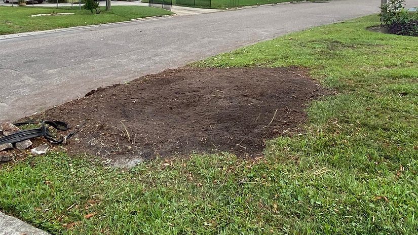 Cleared and swept ground after tree and stump work in Jacksonville