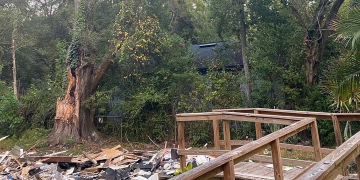 Job site cleaned up after tree work