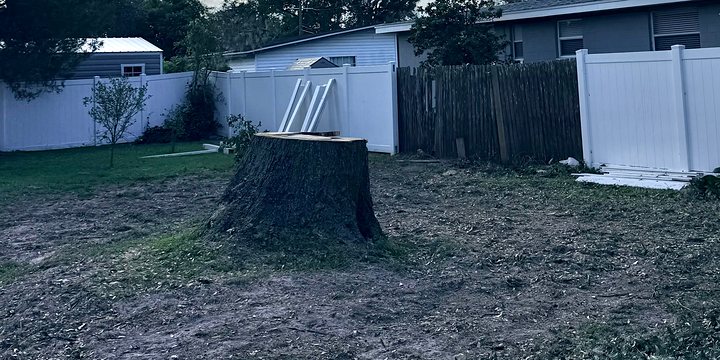 Grinding equipment working a wooded lot