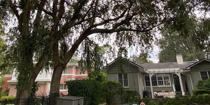 Oak trimming over a townhome