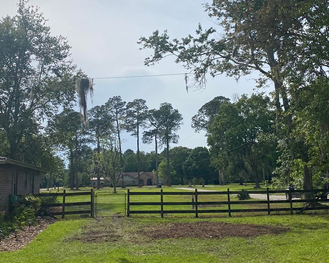 After: tree removed and site cleaned