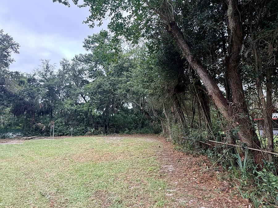 Lot cleared and cleaned by Forever Trees in Jacksonville