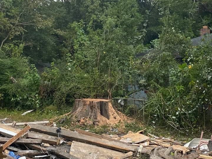 Job site cleaned up after storm tree work in Jacksonville