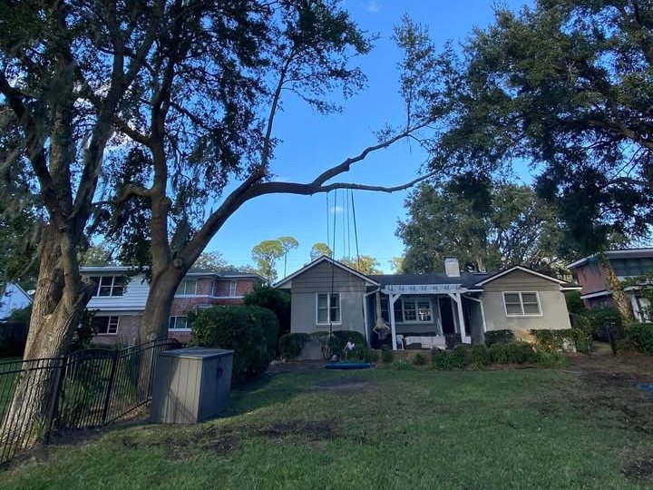 Trimming a large oak beside a brick townhome in Jacksonville